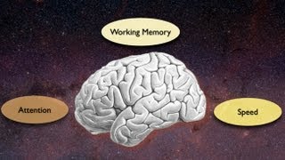 Exploring the Crossroads of Attention and Memory in the Aging Brain Views from the Inside [upl. by Buckels658]