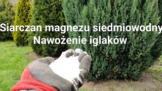 Nawożenie iglaków siarczanem magnezu siedmiowodnym [upl. by Leilani468]