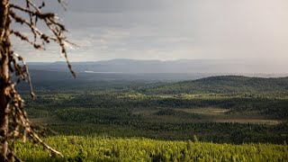 Storforsen Gallejaur Svartliden Knösarna  Naturreservat i Västerbotten amp Norrbotten [upl. by Raffaello]