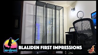 IKEA Blaliden Review and Display Update [upl. by Nodnahs898]