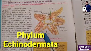 Phylum Echinodermata XI Biology [upl. by Ardnoik454]