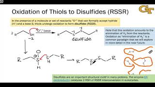 0303 Oxidation Reactions of Thiols [upl. by Welton213]