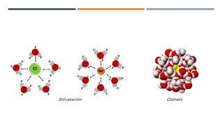 Relación del agua y pH en la bioquímica [upl. by Gnirol]