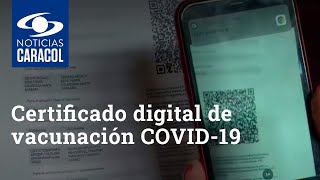 Certificado digital de vacunación COVID19 ¿por qué están reportando fallas [upl. by Eigriv]