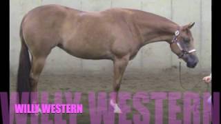 WILLY WESTERN  2013 AQHA MARE BY WINNIES WILLIE [upl. by Elbring]