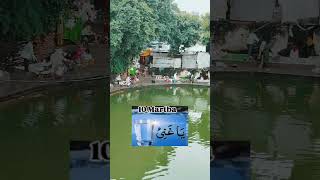 Makhdoom Ashraf ye video dekh kar Jaye isko skip na karehealthvlog kichhouchhasharif kichhouch [upl. by Arimat]