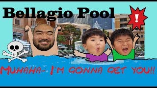 bellagio pool las vegas tour and kids play 벨라지오 수영장 [upl. by Tnemelc]