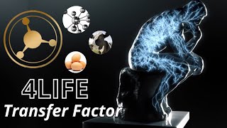 El Recorrido de 4Life Transfer Factor a Través del Cuerpo ¿Cómo funciona [upl. by Modeste357]