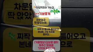 남편한테 자꾸 지적을 들으니  감정을 억누르지말고 느껴야 풀린다거울명상 김상운 마음공부 [upl. by Alleynad]