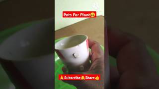 Table pot for ☘️ plant shorts viralvideo tablepot plantcare gardening newplant natureplants [upl. by Sadinoel]