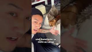 Lohnt sich ein 600€ HUNDEBETT [upl. by Ener]