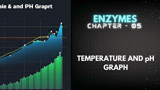 Temperature and pH Graph  Enzymes Lecture 2  O levelIGCSE Biology with SSK [upl. by Eyahsal]