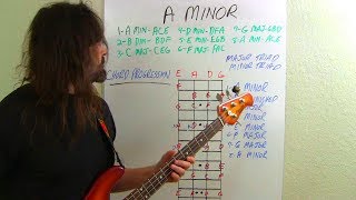 Bass Lesson 2 For Beginners Working In Minor Scale [upl. by Chilson735]