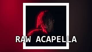 Juice WRLD  Autograph RAW ACAPELLA LEAKED VOCALS [upl. by Ahsauqram991]