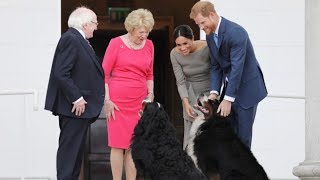 Duke and Duchess of Sussex won over by Irish presidents dogs [upl. by Dolly]