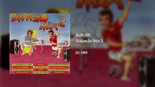 Diapasão Mix 2  Mix Pele Morena Faixa 12 [upl. by Atinor581]