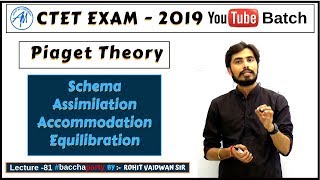 Piaget Theory Schema Assimilation AccommodationEquilibration  CDP CTET 2019 [upl. by Brooking]