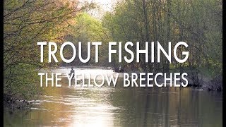 Trout Fishing Pennsylvanias Yellow Breeches [upl. by Assilac556]