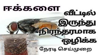 ஈக்களை நிரந்தரமாக வீட்டிலிருந்து ஒழிக்க  trap for house flies naturally in Tamil [upl. by Notak202]