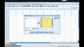 Alfa de Cronbach con SPSS [upl. by Kristien]