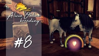 Alicia Online Breeding 8 no serio gro [upl. by Rik]