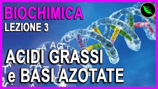 ACIDI GRASSI  BASI AZOTATE e NUCLEOTIDI Biochimica Lezione 3 [upl. by Avin]