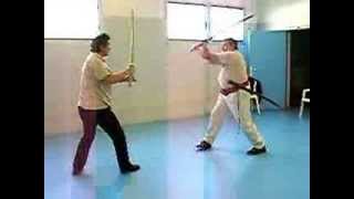 Cours particulier de sabre avec utilisation des positions directionelles du KiaïJitsu [upl. by Kipper263]