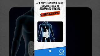 ¿Cómo se debe de tomar la levotiroxina [upl. by Pearla]