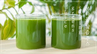 🌱Green Detox Juice with Spring Greens🌱 봄나물 해독주스 착즙주스 만들기  angel juicer [upl. by Anniken234]