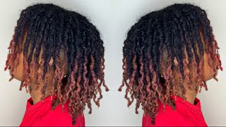 Dreadlock Two Strand Twist Out  Curly Hair [upl. by Daeriam90]