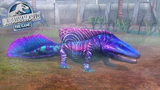 ALL SUPERSAURUS AMPHIBIANS ALL EVOLUTIONS MAX LV 40  JURASSIC WORLD THE GAME [upl. by Farlee]