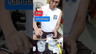 salt battery shorts idea battery homemade [upl. by Honora]