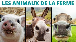 Les animaux de la ferme  les cris [upl. by Inahpit]