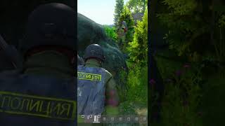 shorts dayz gaming pvp games [upl. by Titos885]