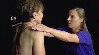 Neck Examination Cervical Spine Screen [upl. by Norina]