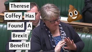 Therese Coffey Finds A Brexit Benefit  Freedom To Pump Raw Sewage [upl. by Akcirred556]