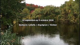 Cest lautomne je métonne la nature se peinture 16 septembre au 3 octobre 2020 [upl. by Benia138]