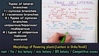 types of lateral branches cymose amp racemose branches types of cymose brancheschapter stem part 6 [upl. by Aneej775]