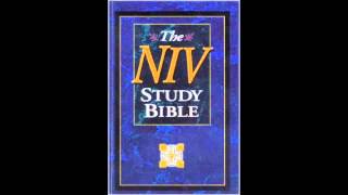 The Gospel of John NIV Audio Bible Non Dramatized [upl. by Groark227]