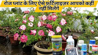 रोज़ प्लांट पर ज़ादा फूल पाने के लिए कुछ खास fertilizers  rose plant ke liye best fertilizer [upl. by Eahsat]