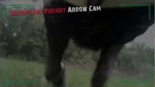 Relentless Pursuit Arrow Camera  Amazing Up Close and Personal Turkey Kill [upl. by Theodoric408]