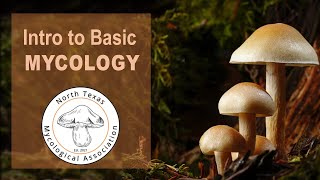 Basic Mycology 1 22 2022 [upl. by Noryak]