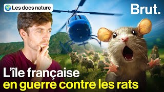 Au bout du monde la France chasse les rats en hélicoptère [upl. by Sparhawk]