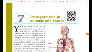 Class7 Science Chapter 7 Transportation in plants and Animals part 1 with detailed Explanation [upl. by Anerac]