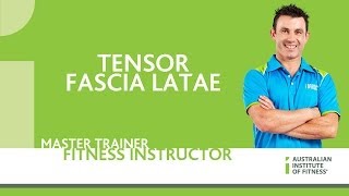 Tensor Fascia Latae [upl. by Anniroc]