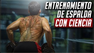 El mejor entrenamiento de espalda  CIENTÍFICAMENTE COMPROBADO [upl. by Burbank]