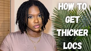 HOW TO GET THICKER LOCS  THICKEN THIN LOCS WITH THESE SIMPLE TIPS [upl. by Cathlene176]