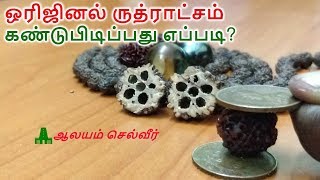 ஒரிஜினல் ருத்ராட்சம் கண்டுபிடிப்பது எப்படி  How To Find Fake Rudraksha [upl. by Parnell]