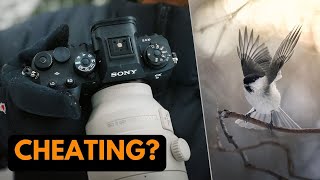 Sony A9III for Bird Photography  120 FPS BURST TEST [upl. by Ryan]