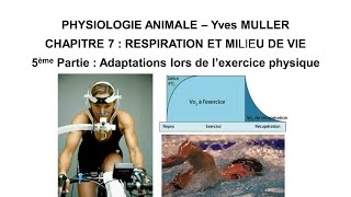 Chapitre 75 Activité musculaire et adaptations de l’organisme lors de l’exercice physique [upl. by Kalvn657]